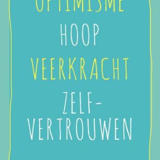 Psychologisch Kapitaal - Optimisme Hoop Veerkracht Zelfvertrouwen - M Steeneveld